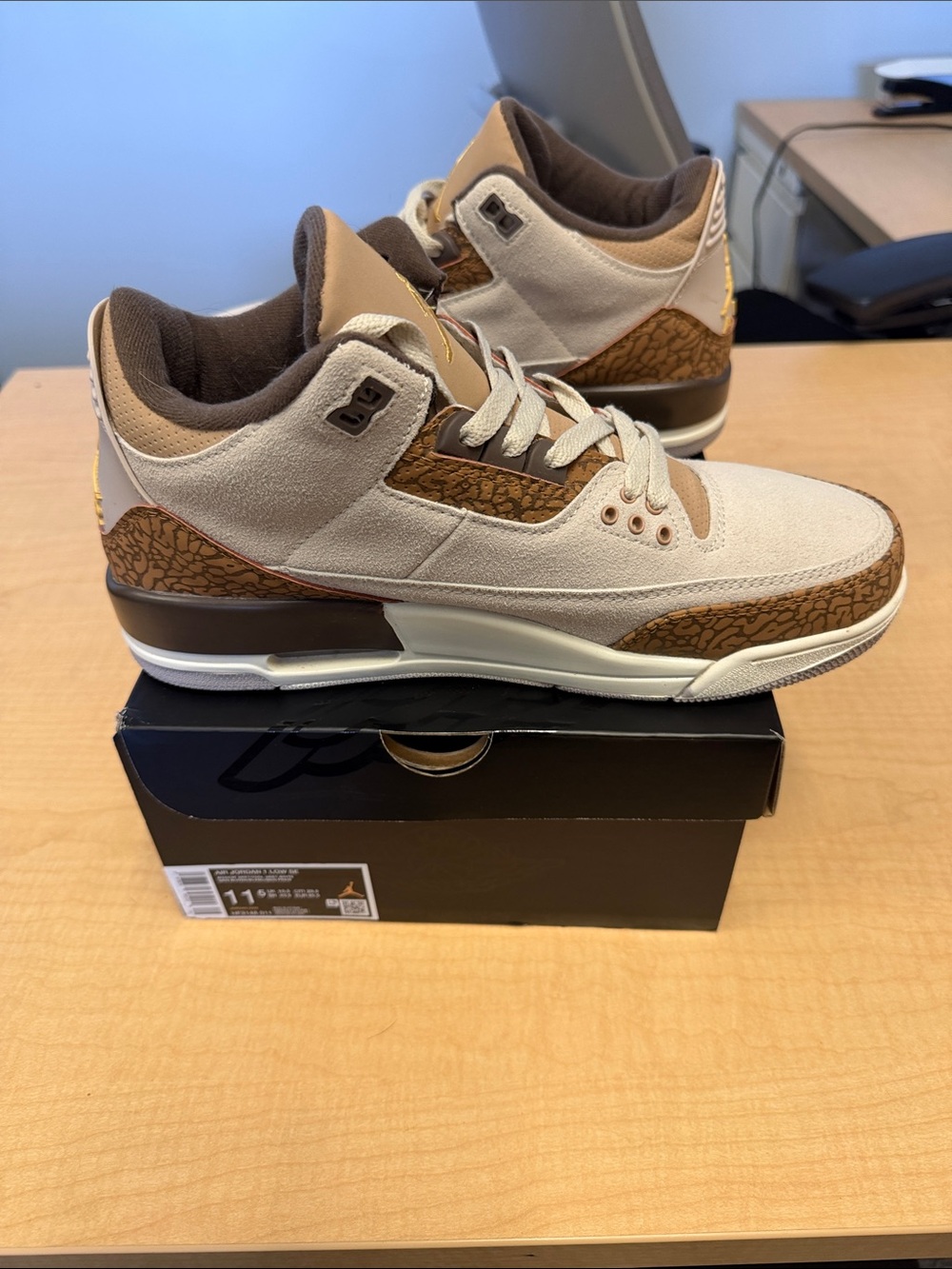 Jordan Men's Retro Sneaker in Cream and Brown